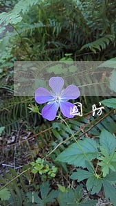 国防法规调整适用于普通群众吗 国防法规调整适用于普通群众吗