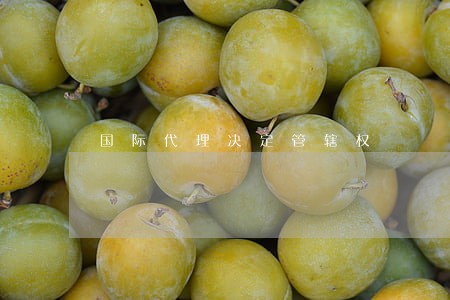 国际代理决定管辖权 国际代理决定管辖权