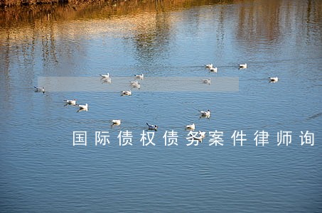 国际债权债务案件律师询问报价 国际债权债务案件律师询问报价