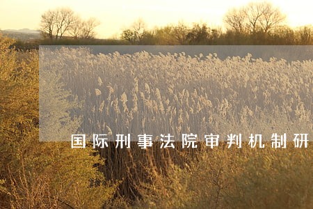 国际刑事法院审判机制研究 国际刑事法院审判机制研究