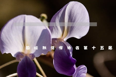 国际刑法学协会第十五届大会评介 国际刑法学协会第十五届大会评介