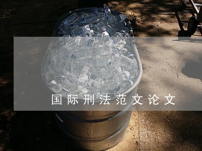 国际刑法范文论文 国际刑法范文论文