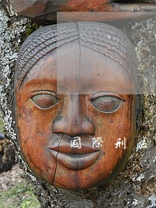 国际刑法通论增补本 国际刑法通论增补本