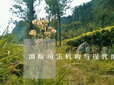 国际司法机构与现代国际法的发展 国际司法机构与现代国际法的发展