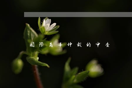 国际商事仲裁的审查