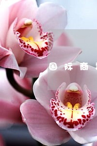 国际商事合同法理论与实务 国际商事合同法理论与实务