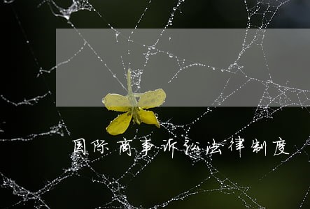 国际商事诉讼法律制度
