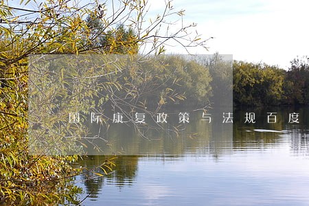 国际康复政策与法规百度文库