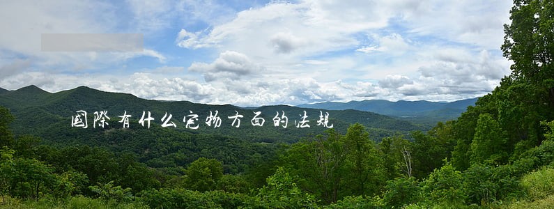 国际有什么宠物方面的法规