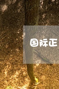 国际正义日 国际正义日