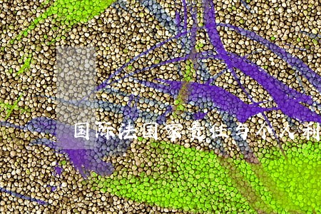 国际法国家责任与个人利益 国际法国家责任与个人利益