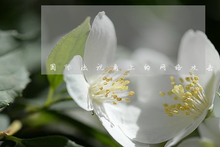 国际法视角上的网络攻击问题探究 国际法视角上的网络攻击问题探究
