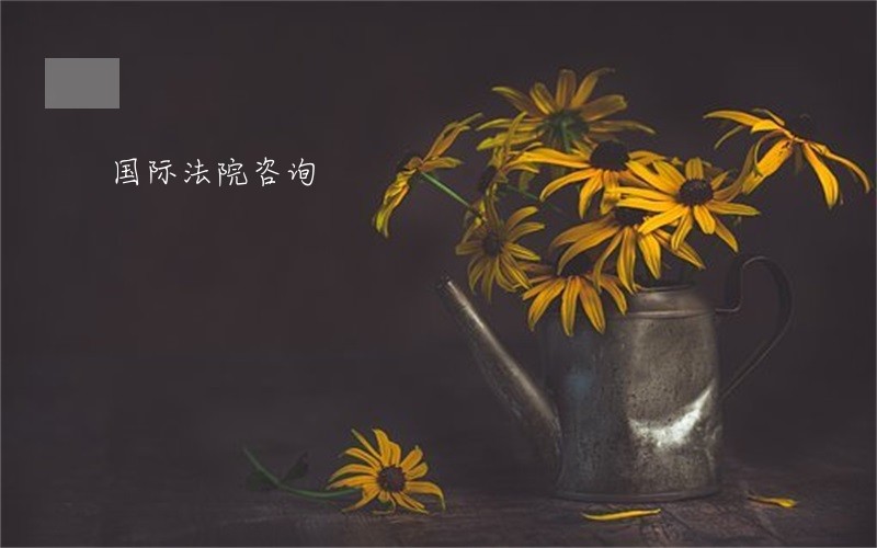 国际法院咨询 国际法院咨询