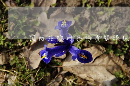 国际法院对条约有解释权吗 国际法院对条约有解释权吗