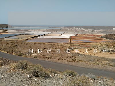国际经济法事实素材 国际经济法事实素材