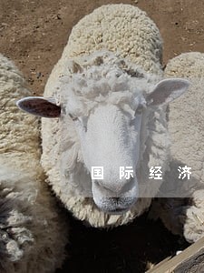 国际经济法哪位的书比较好 国际经济法哪位的书比较好