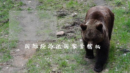 国际经济法国家管辖权 国际经济法国家管辖权