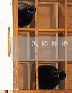 国际经济法有关论文 国际经济法有关论文