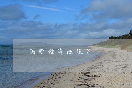 国际经济法段子 国际经济法段子