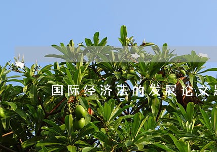 国际经济法的发展论文题目 国际经济法的发展论文题目