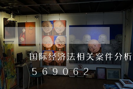 国际经济法相关案件分析/2023021569062