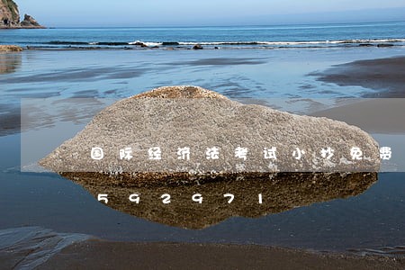 国际经济法考试小抄免费/2023021592971 国际经济法考试小抄免费/2023021592971