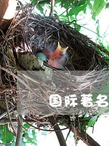 国际著名律师 国际著名律师