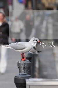 国际认证法律顾问师 国际认证法律顾问师