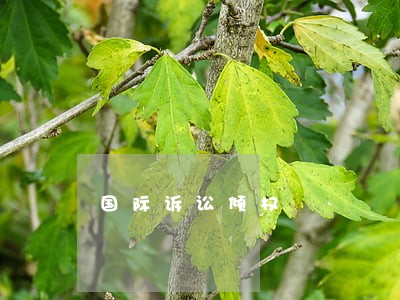 国际诉讼倾权 国际诉讼倾权