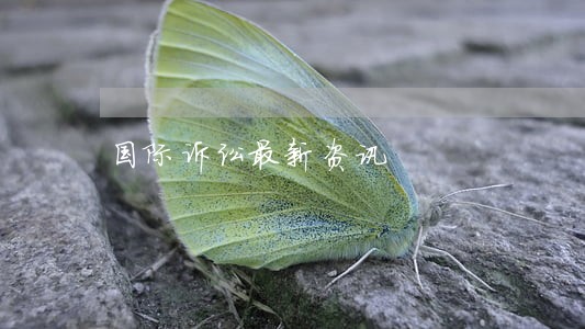 国际诉讼最新资讯 国际诉讼最新资讯