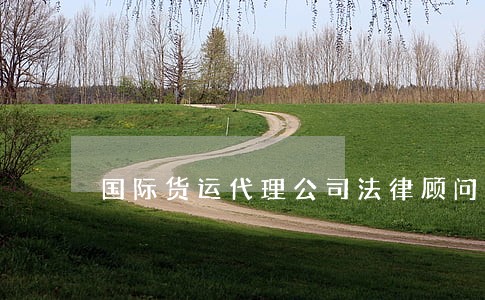 国际货运代理公司法律顾问 国际货运代理公司法律顾问