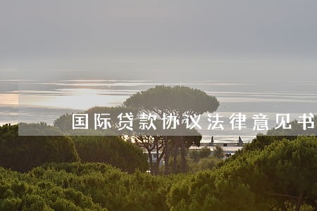 国际贷款协议法律意见书 国际贷款协议法律意见书