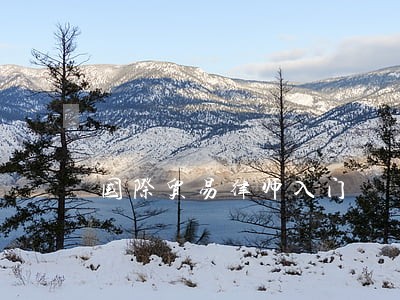 国际贸易律师入门 国际贸易律师入门