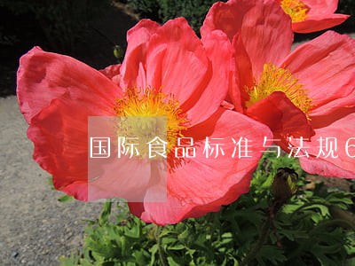 国际食品标准与法规61 国际食品标准与法规61