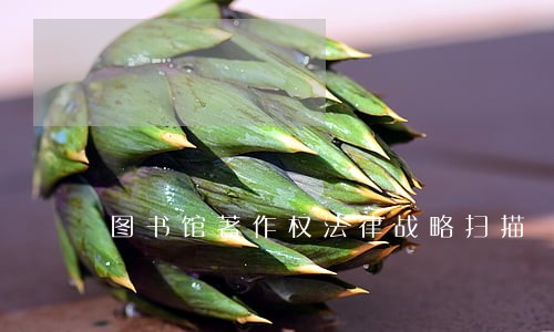 图书馆著作权法律战略扫描 图书馆著作权法律战略扫描