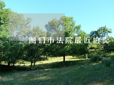 图们市法院最近拍卖 图们市法院最近拍卖