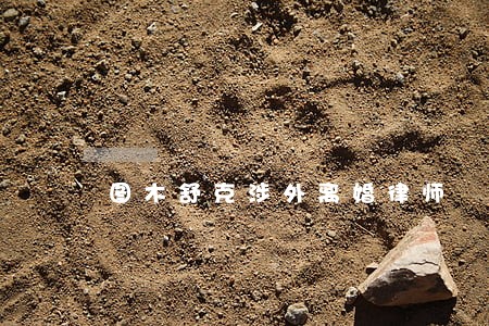 图木舒克涉外离婚律师 图木舒克涉外离婚律师