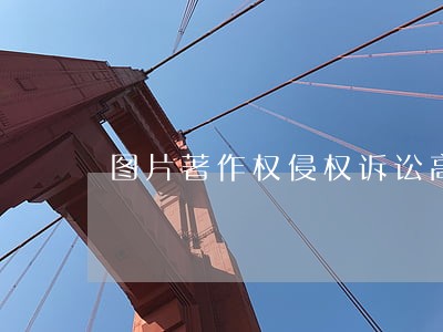 图片著作权侵权诉讼高发 图片著作权侵权诉讼高发