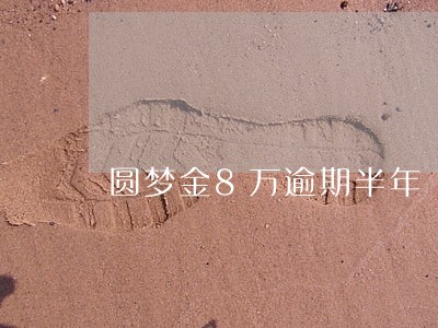 圆梦金8万逾期半年 圆梦金8万逾期半年