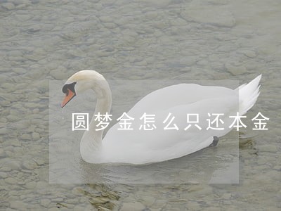 圆梦金怎么只还本金 圆梦金怎么只还本金