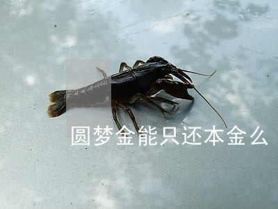 圆梦金能只还本金么 圆梦金能只还本金么