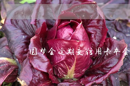 圆梦金逾期变信用卡本金了 圆梦金逾期变信用卡本金了