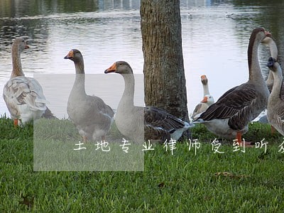 土地专业律师受到听众热烈欢迎 土地专业律师受到听众热烈欢迎