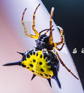 土地仲裁后法院判决