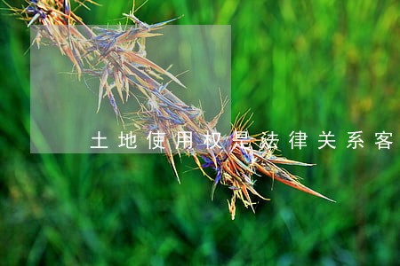 土地使用权是法律关系客体