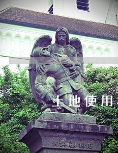 土地使用权有争议的违法用地 土地使用权有争议的违法用地