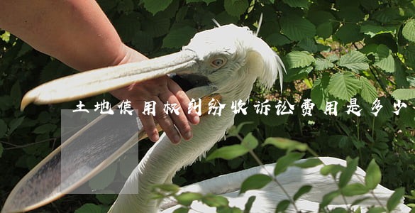 土地使用权纠纷收诉讼费用是多少 土地使用权纠纷收诉讼费用是多少