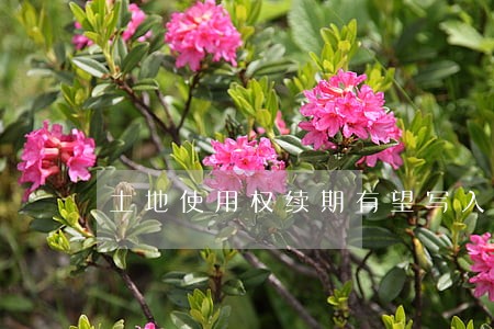 土地使用权续期有望写入民法典 土地使用权续期有望写入民法典