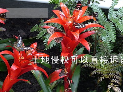土地侵权可以直接诉讼 土地侵权可以直接诉讼