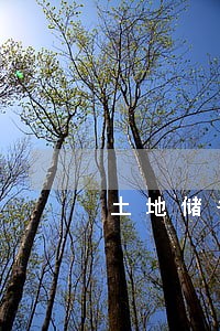 土地储备法律意见书